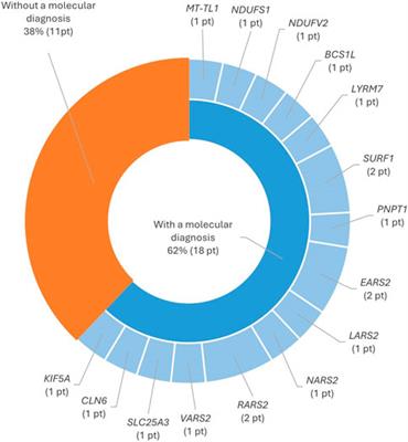 The genetic landscape of mitochondrial diseases in the next-generation sequencing era: a Portuguese cohort study